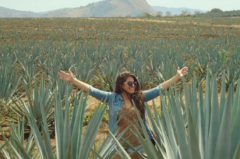 mestrado no mexico