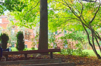 o estudante Matheus Costa em Cornell, nos Estados Unidos