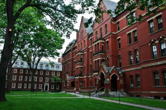 fellowships para pesquisadores experientes em Harvard