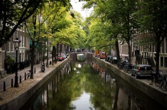 Orange Tulip Scholarship