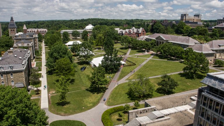 Estude nos EUA: cursos em Harvard, Stanford e Columbia ao seu alcance Estude nos EUA: cursos em Harvard, Stanford e Columbia ao seu alcance