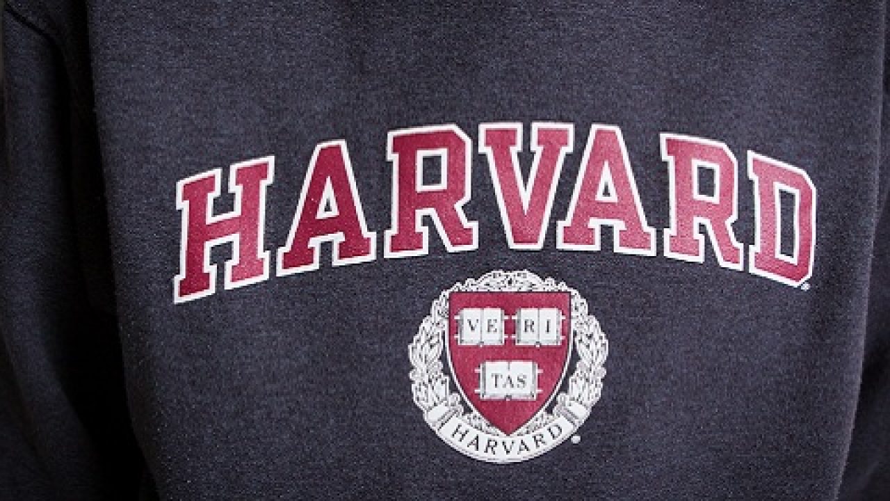 moletom de harvard