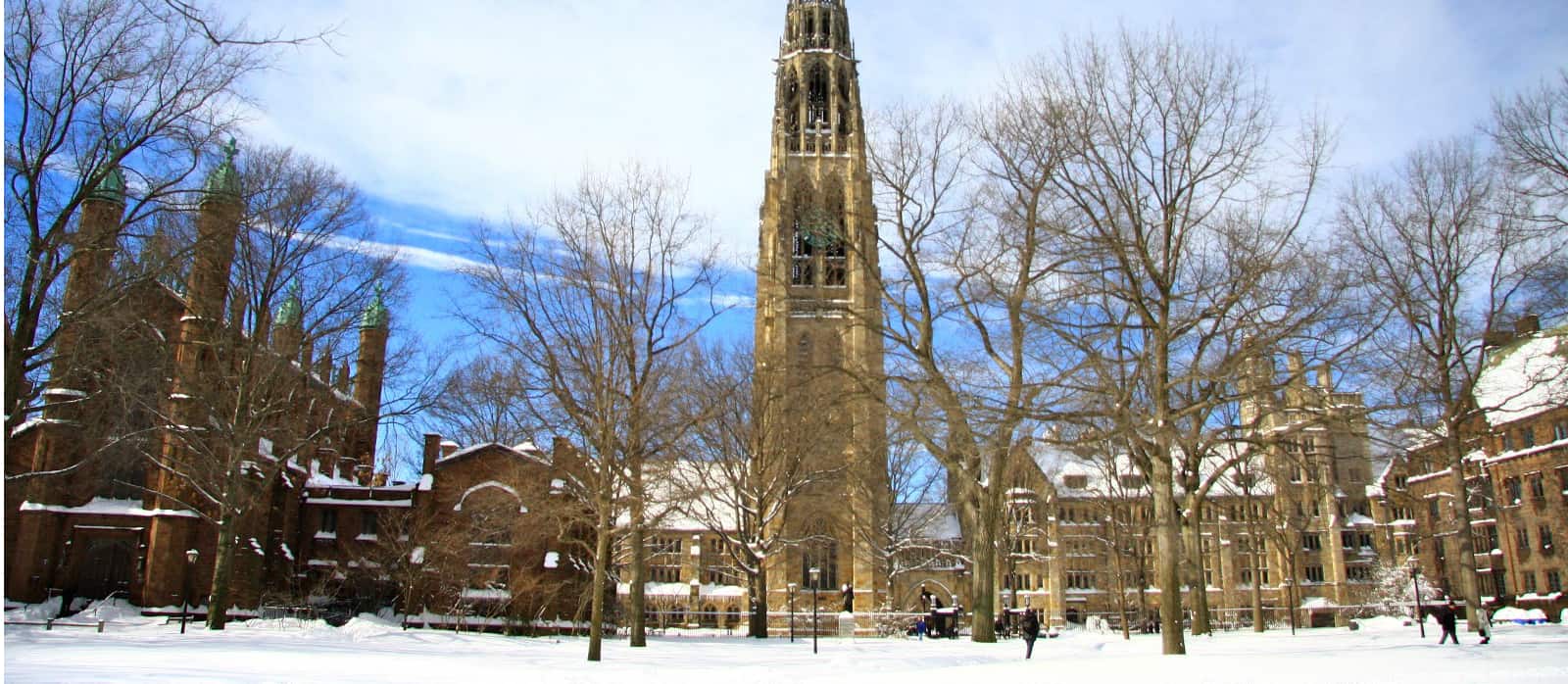 campus de Yale