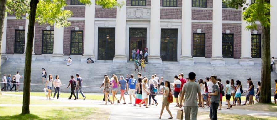 campus Universidade Harvard