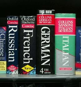 Dicionários de Idiomas em estante
