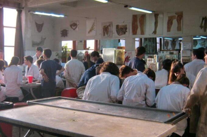 Estudantes assistem a uma aula de anatomia na faculdade. (Créditos: Clarín/Archivo Equipo Disección UBA)