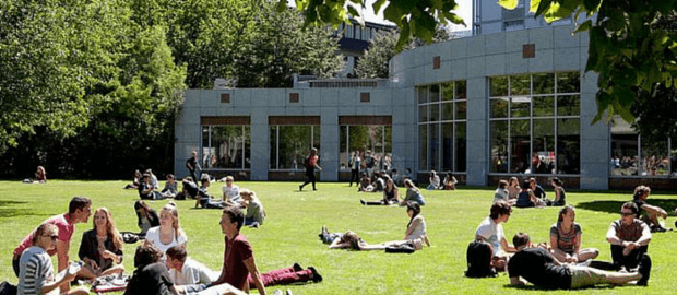 Universidade da Nova Zelândia oferece bolsas para calouros da graduação