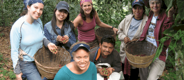 empreendedorismo social