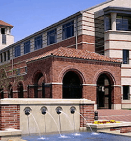 pin swing Constitution University of Southern California - Estudar Fora