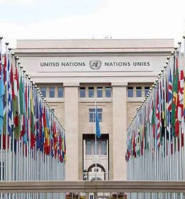 Curso da ONU, em Genebra
