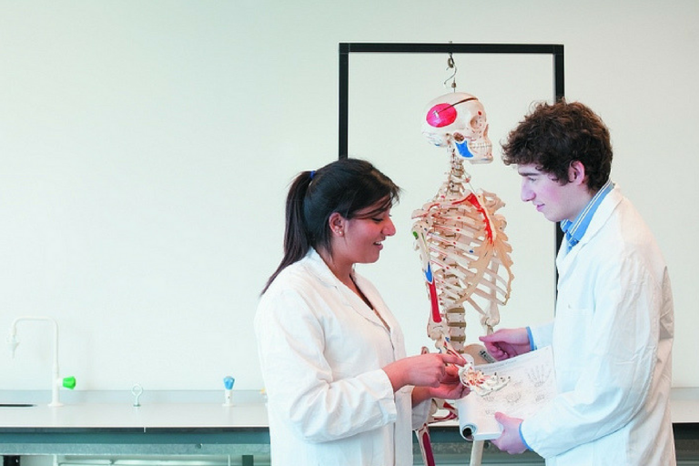 Tudo sobre: estudar medicina fora do Brasil (da admissão ao Revalida!) Tudo sobre: estudar medicina fora do Brasil (da admissão ao Revalida!)