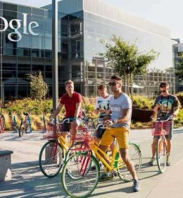 E-book Vale do Silício - funcionário do Google
