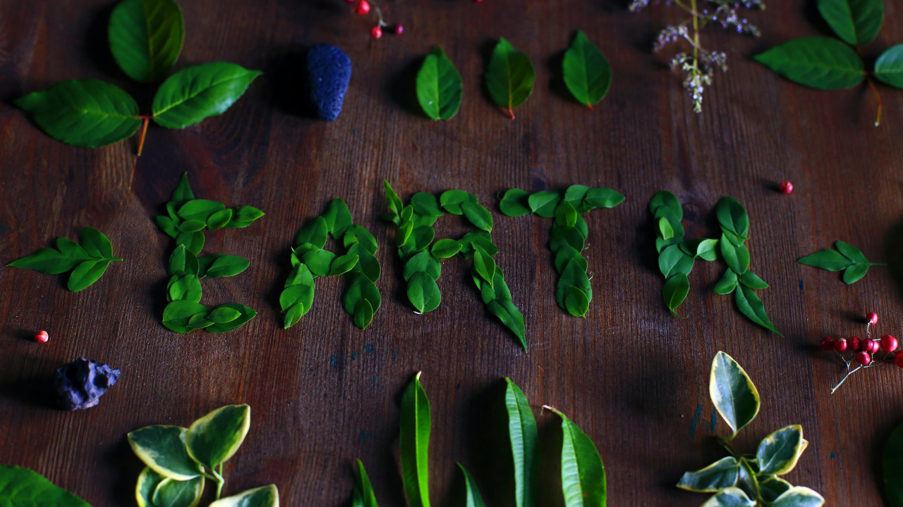 Folhas de árvore dispostas em uma mesa formando a palavra "EARTH" - concurso para pesquisadores