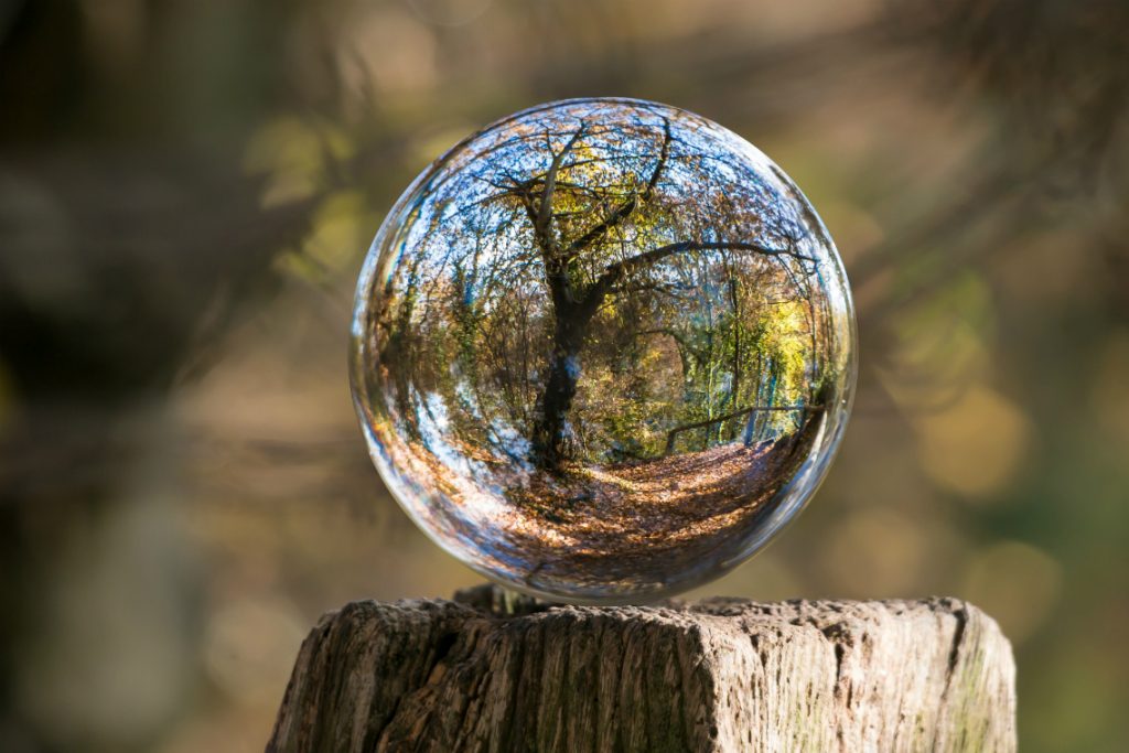 Uma árvore refletida no que parece ser uma gota de água. Meio ambiente, verde, clima, ecologia
