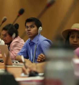 Curso curto da ONU para pessoas indígenas em Genebra