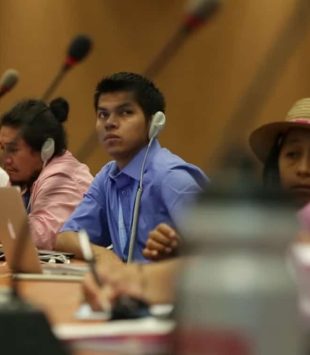 Curso curto da ONU para pessoas indígenas em Genebra
