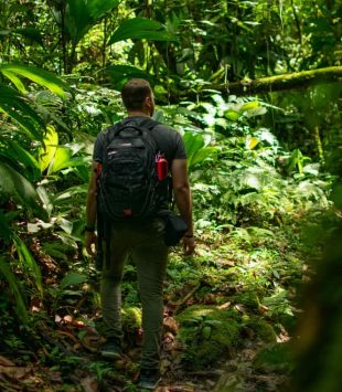 Pessoa com mochila numa floresta tropical - bolsas integrais para mestrado em biodiversidade