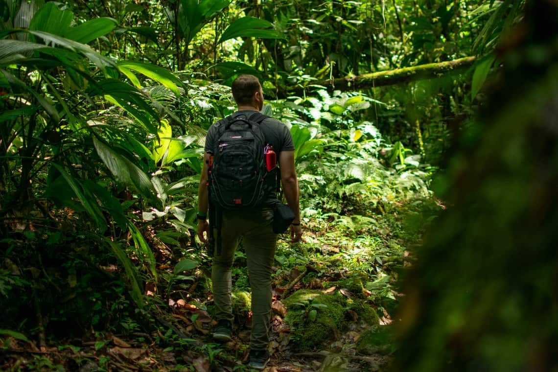 Pessoa com mochila numa floresta tropical - bolsas integrais para mestrado em biodiversidade