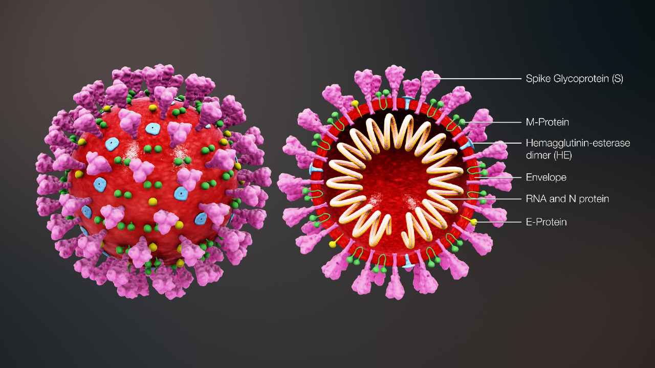 Diagrama do coronavírus, vacina contra COVID-19 de Oxford