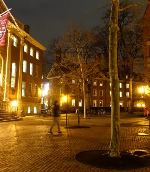 Harvard Yard à noite