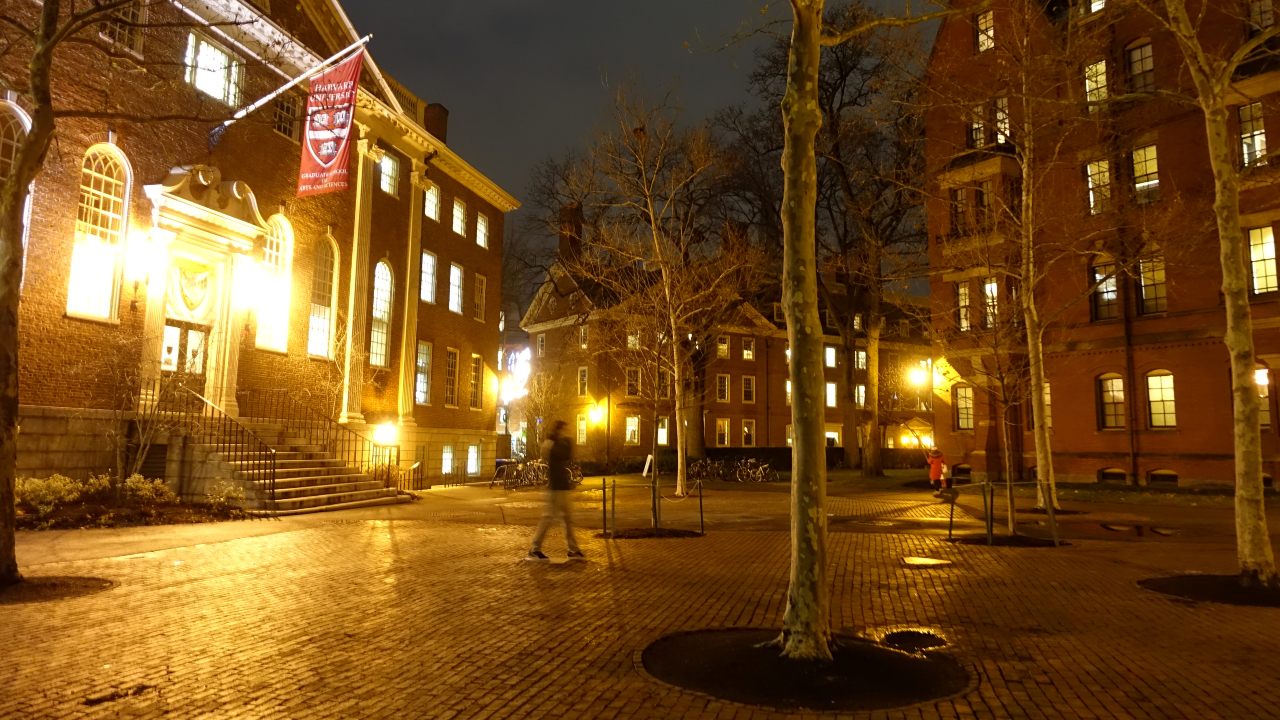 Harvard Yard à noite