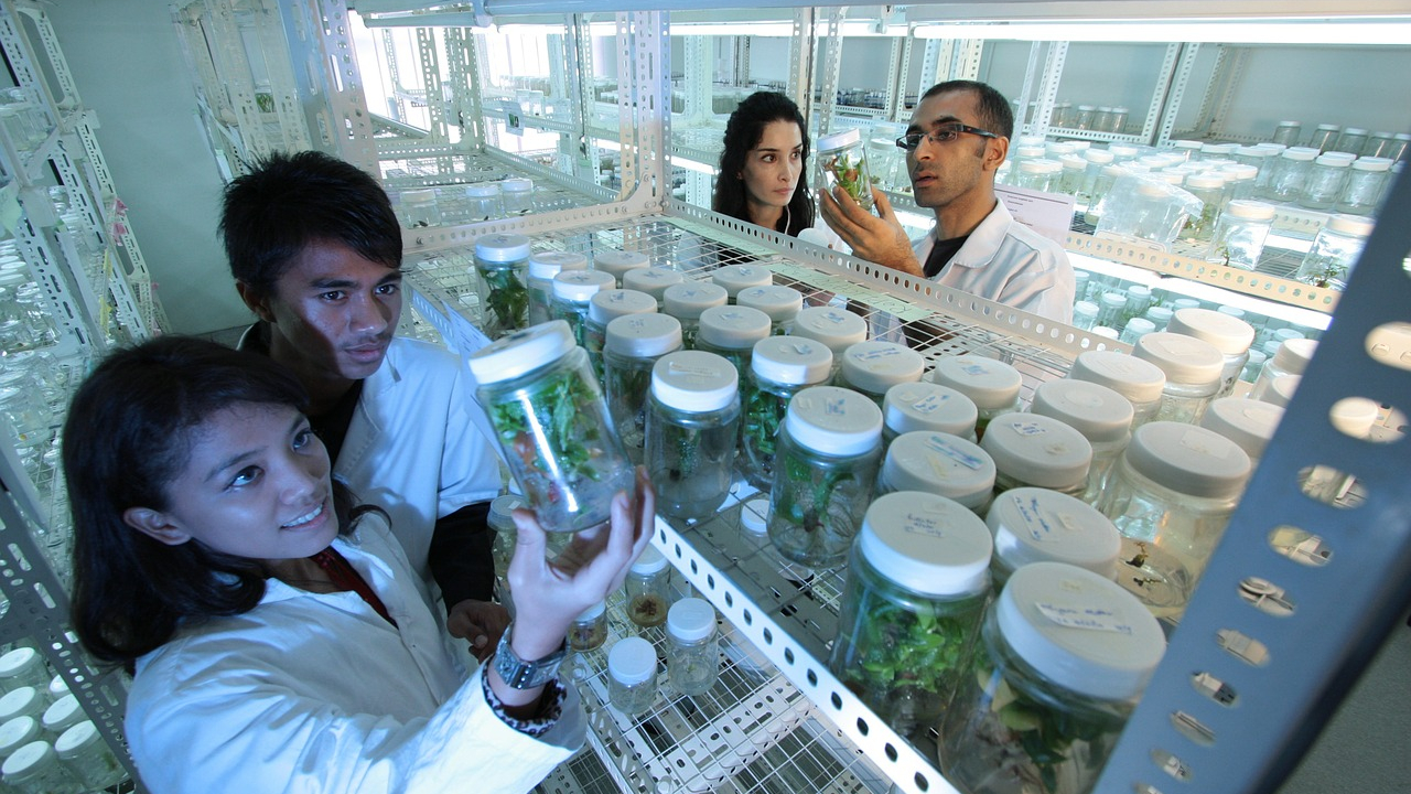 Quatro pessoas analisando plantas dentro de potes num laboratório - o que é pós-doutorado