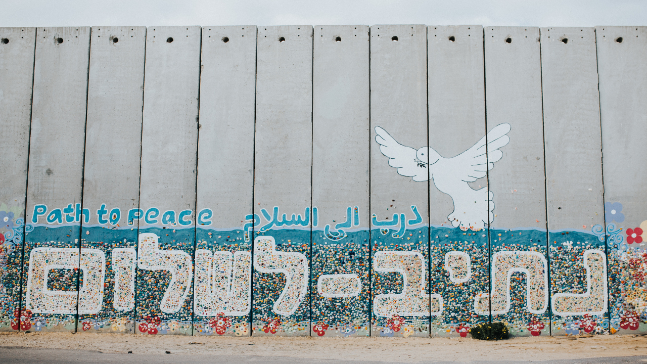 mensagem de paz em muro da palestina - bolsas para projetos relacionados a paz