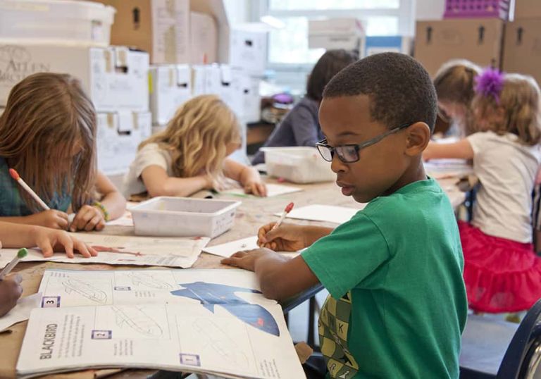 UNESCO alerta que o mundo enfrenta “graves riscos” para a educação global UNESCO alerta que o mundo enfrenta “graves riscos” para a educação global